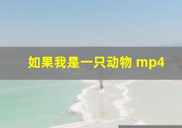 如果我是一只动物 mp4